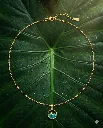 Dolphin Pendant Chain(1).webp