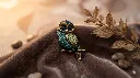 Little Owl(1).webp